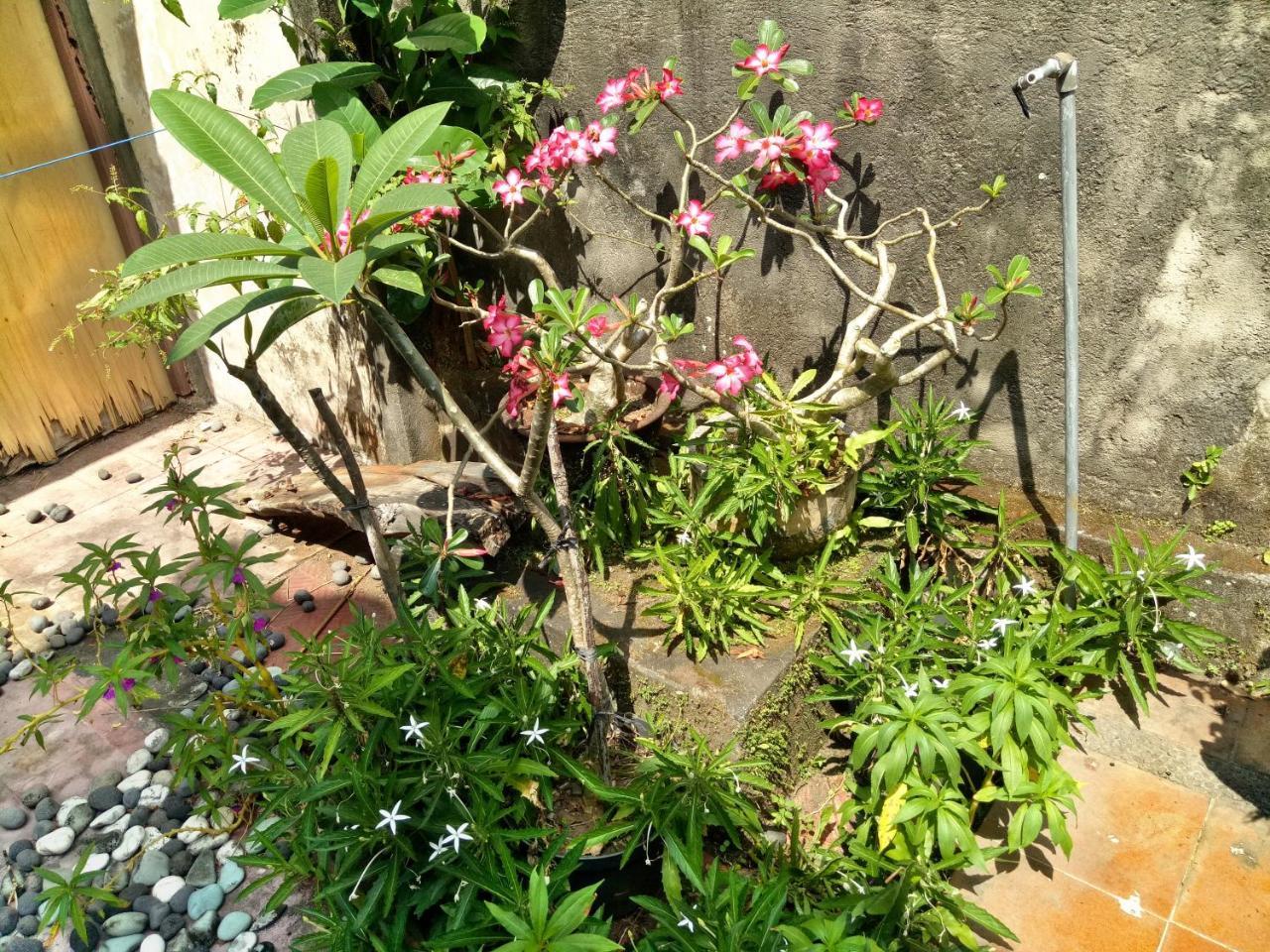 Suandi House Bed & Breakfast Ubud  Exterior photo